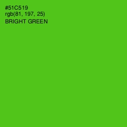 #51C519 - Bright Green Color Image